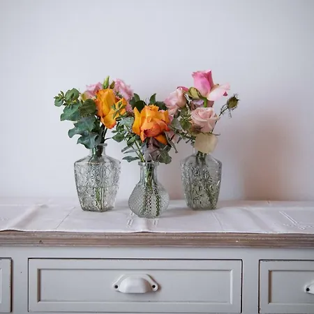 לינה וארוחת בוקר Corte Torchio Roe